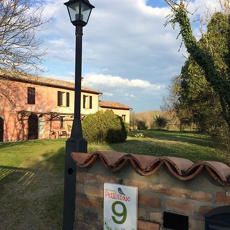 Agriturismo Il Pettirosso Konuk evi Forlì Dış mekan fotoğraf