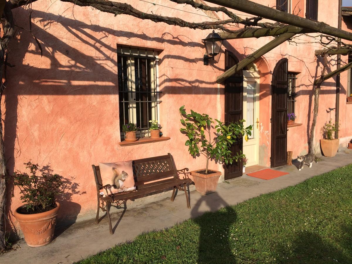 Agriturismo Il Pettirosso Konuk evi Forlì Dış mekan fotoğraf