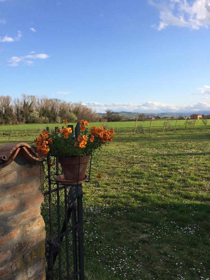 Agriturismo Il Pettirosso Konuk evi Forlì Dış mekan fotoğraf